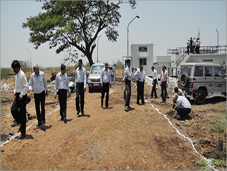 Tree Plantation Services