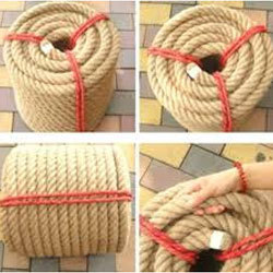 Sisal Rugs