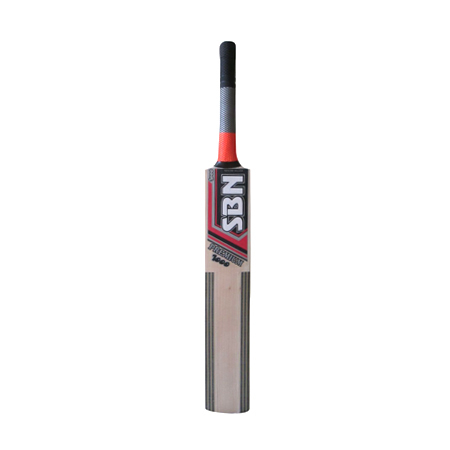 Willow Sticks Cricket Bat