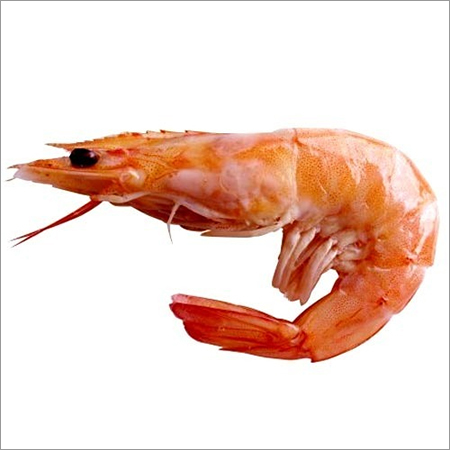 Frozen Prawn