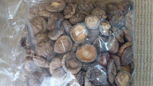 Dried Mushroom