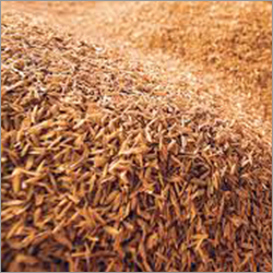 Rice Husk