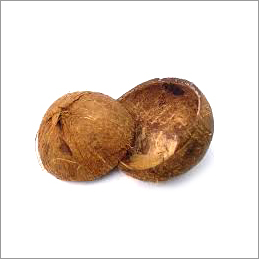 Coconut Shell