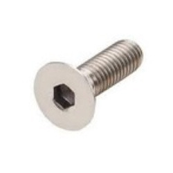 SS Allen Socket C.S.K Head Screw