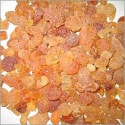 Gum Arabic