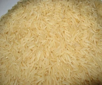 Steam BPT Rice