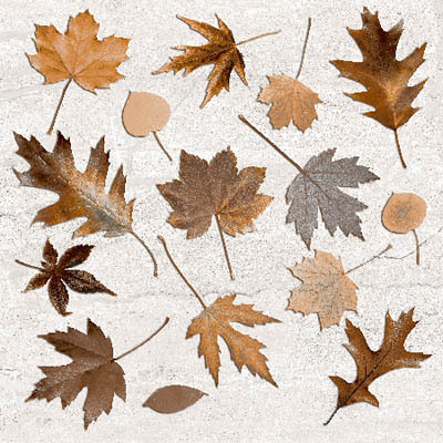 Multicolor Leaf Pattern Digital Floor Tiles