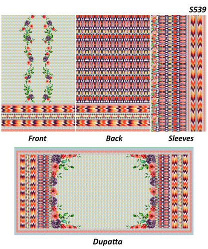 Digital kurtis with dupatta