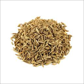 Indian Cumin Seeds
