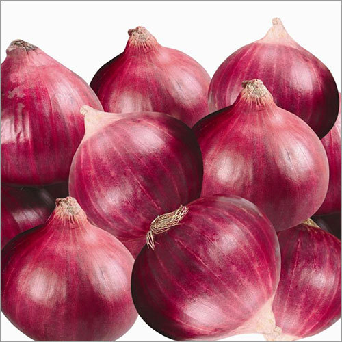 Onion Seed