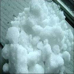 Camphor Powder