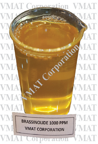 Brassinolide Solution