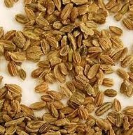 carrot seeds
