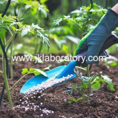 Chemical Fertilizer Testing Services