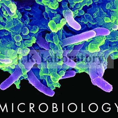 Microbiological Testing સેવાઓ