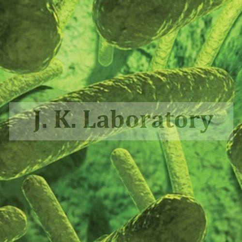 Microbiological Bacterial Testing Services