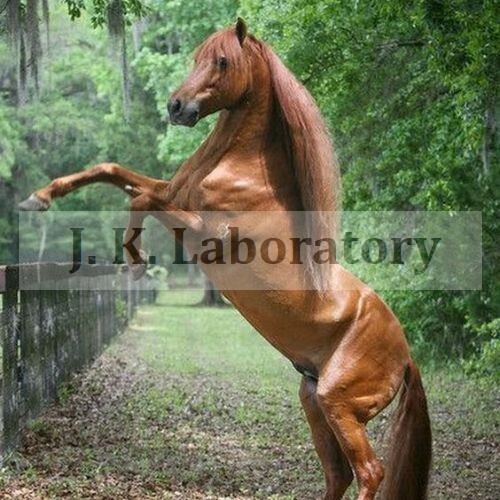 Veterinary Testing સેવાઓ