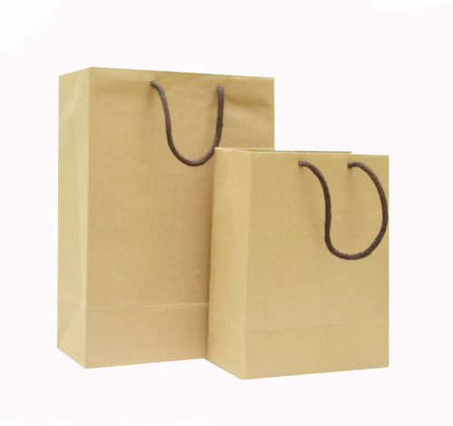 PLAIN PAPER BAGS