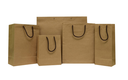 PLAIN PAPER BAGS