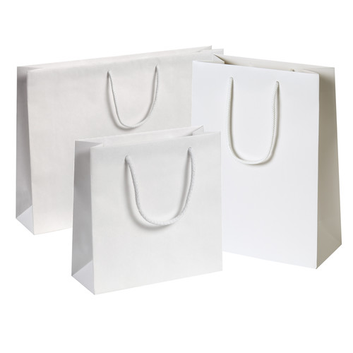 Plain Paper Bags