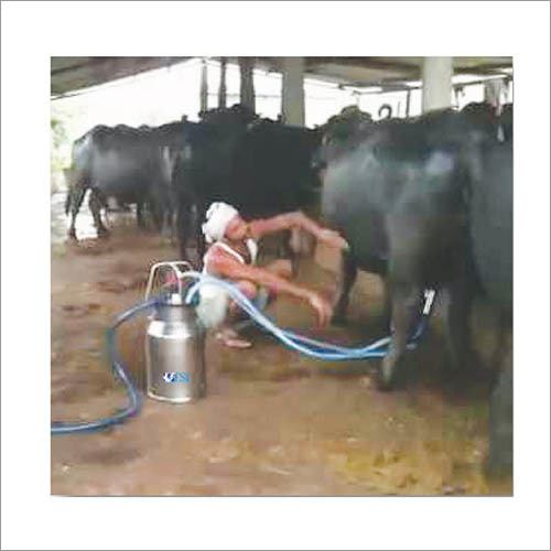 Buffalo Bucket Milking Machine