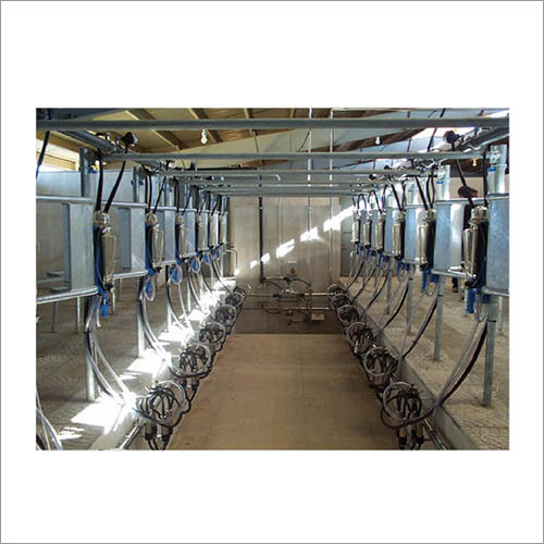 Herringbone Milking Parlour