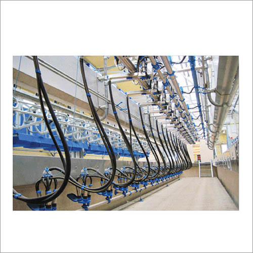 Swingover Milking Parlour