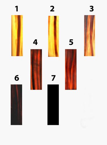 Colour Baffalo Horn Plates