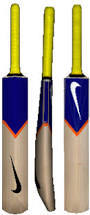 Customize cricket bat