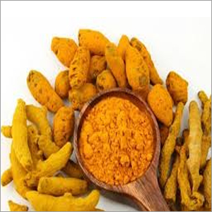 Dried Turmeric Finger