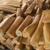 Indian Sandalwood Logs