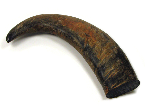 Buffalo Horn