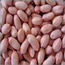 Groundnut Seeds
