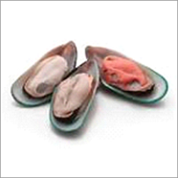 Frozen Mussel