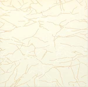 Ivory Glossy Series 300X300MM