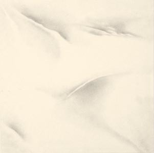 Ivory Grey Matt Floor Tiles