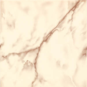 Ivory Chochlate Color Floor Tiles