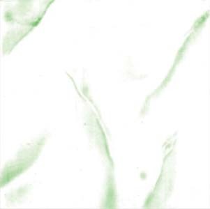 Green White Matt Floor Tiles