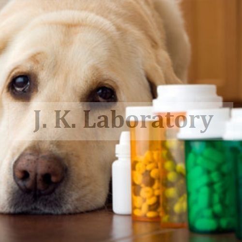 Pet Food Testing Services