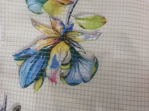 Printed Cotton Fabric