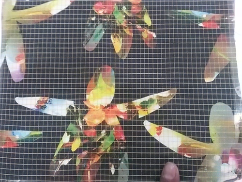 Paper printed fabrics