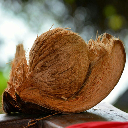 Hairy Coconut