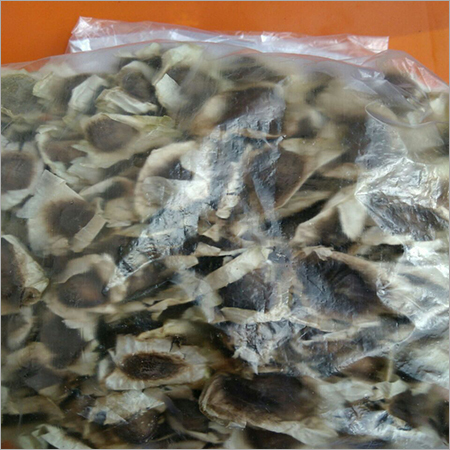 Moringa Seeds