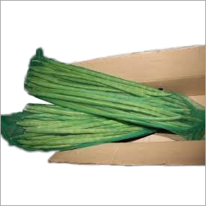 Moringa Oleifera Fruit
