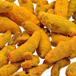Fresh Turmeric Roots