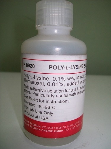 poly-lysine
