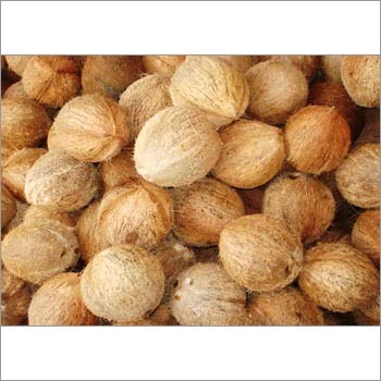 Semi Husked Coconuts