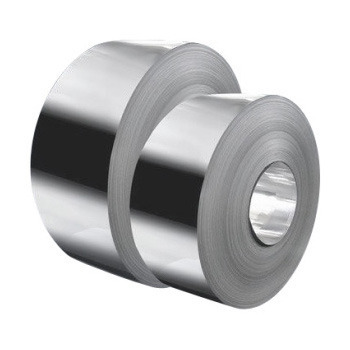 Stainless Steel Strips