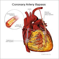 Cardiology