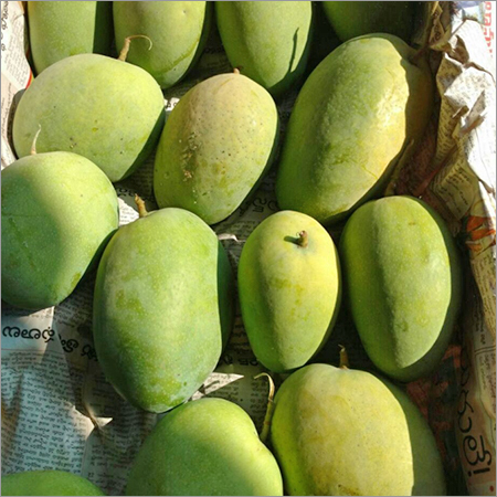 Alphonso Mango
